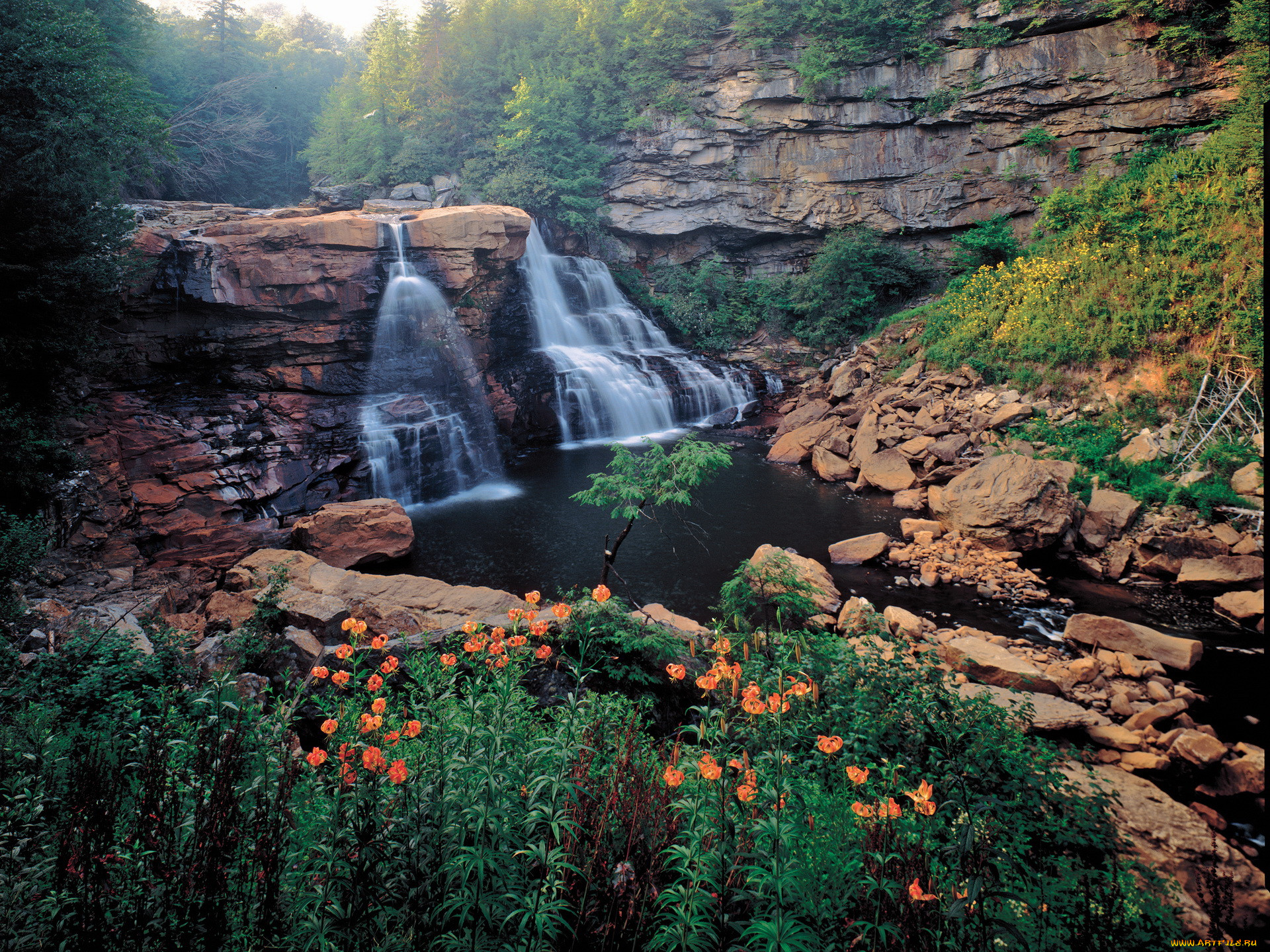 , , ricketts, glen, state, park, pennsylvania